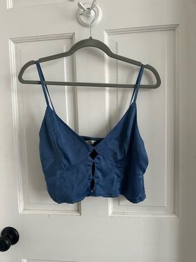 American Eagle Outfitters Blue Satin Crop Cami Top